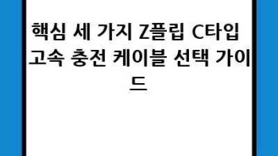 갤럭시 Z플립 최고의 C타입 고속충전 케이블