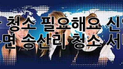 급한 청소 필요해요? 신안군 자은면 송산리 청소 서비스!