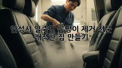 안성시 일죽면 곰팡이 제거 전문: 쾌적한 집 만들기